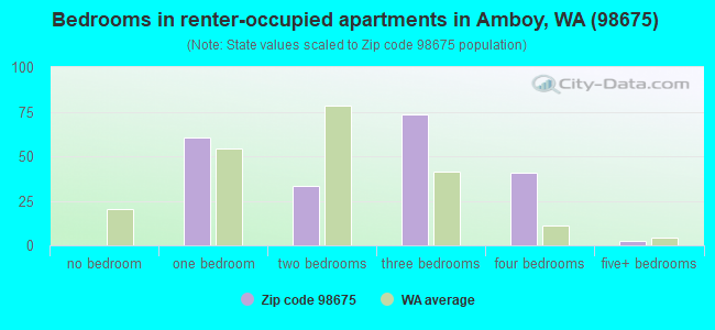 Bedrooms in renter-occupied apartments in Amboy, WA (98675) 