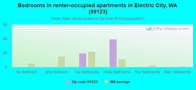 Bedrooms in renter-occupied apartments in Electric City, WA (99123) 