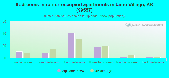 Bedrooms in renter-occupied apartments in Lime Village, AK (99557) 