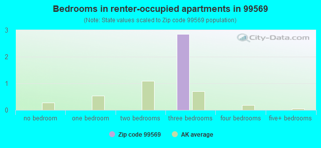 Bedrooms in renter-occupied apartments in 99569 