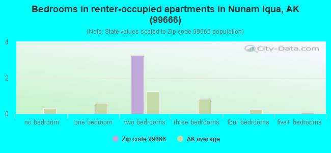 Bedrooms in renter-occupied apartments in Nunam Iqua, AK (99666) 