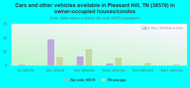 Cars and other vehicles available in Pleasant Hill, TN (38578) in owner-occupied houses/condos