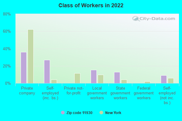 Class of Workers in 2022