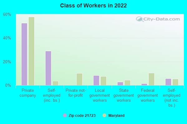 Class of Workers in 2022