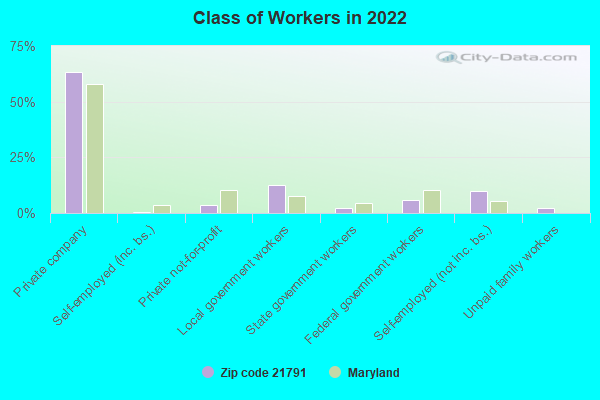 Class of Workers in 2022