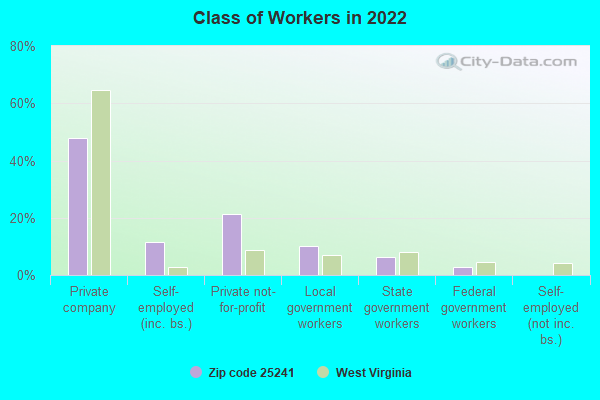 Class of Workers in 2022