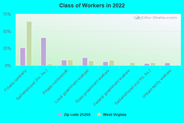 Class of Workers in 2022