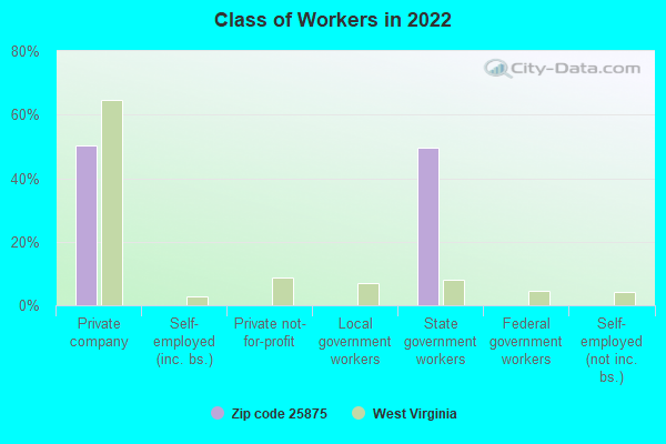 Class of Workers in 2022