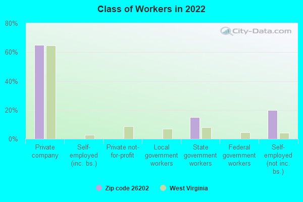 Class of Workers in 2022