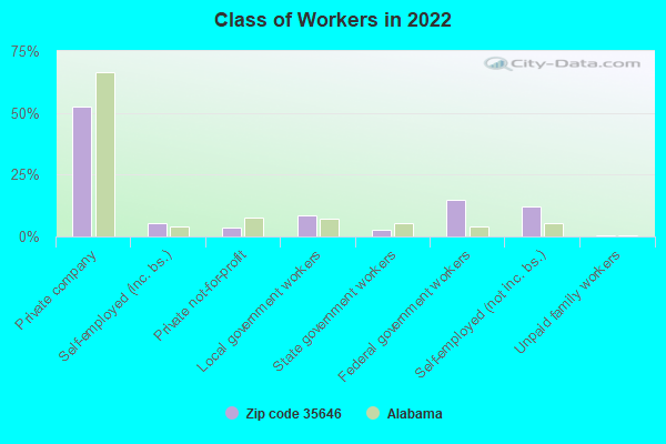 Class of Workers in 2022