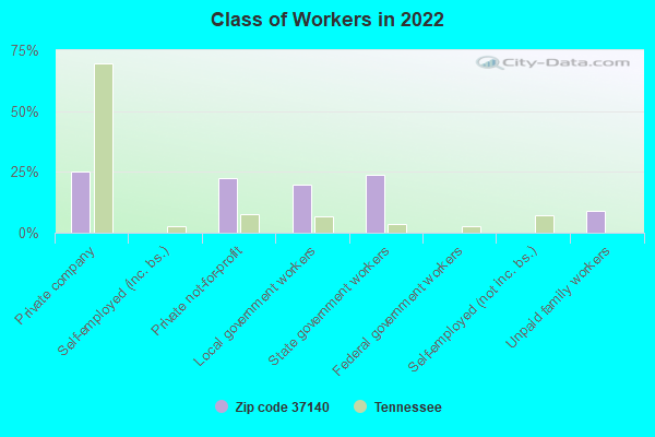 Class of Workers in 2022