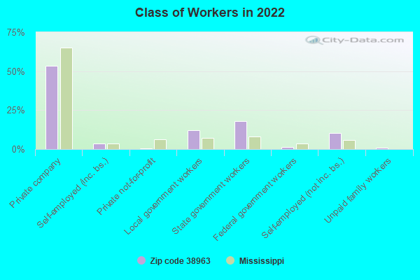 Class of Workers in 2022