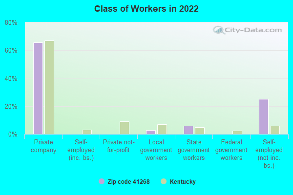 Class of Workers in 2022