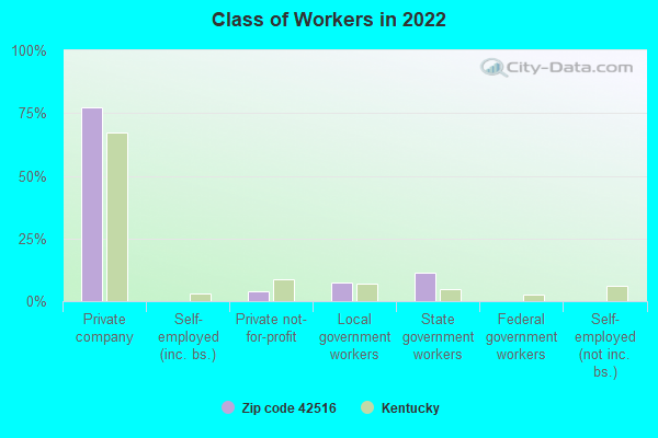 Class of Workers in 2022