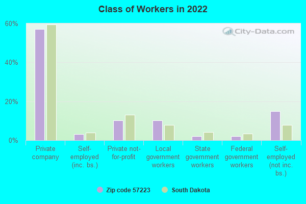 Class of Workers in 2022