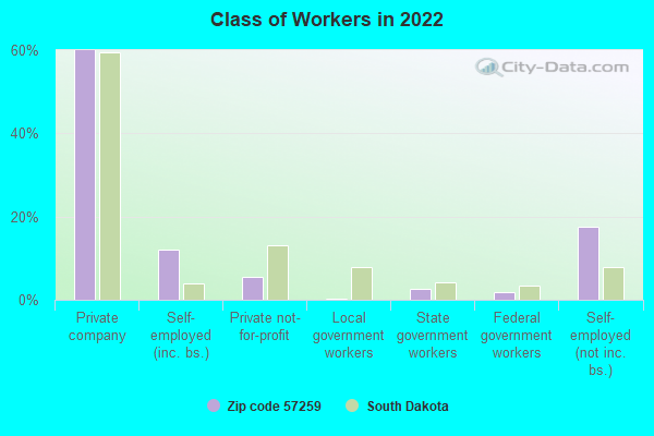 Class of Workers in 2022