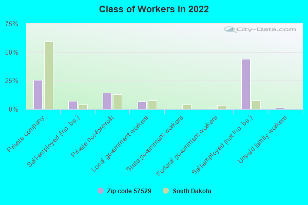 Class of Workers in 2022