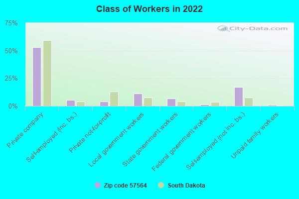 Class of Workers in 2022