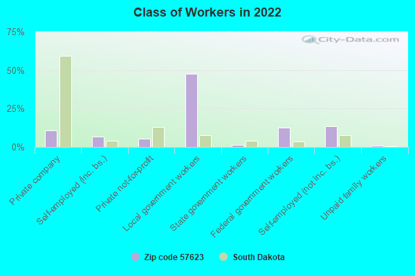 Class of Workers in 2022