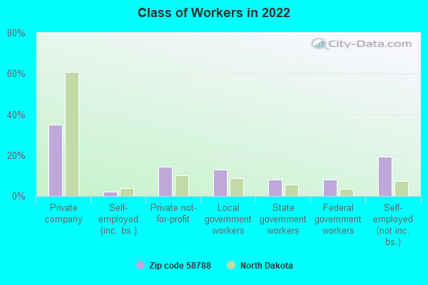 Class of Workers in 2022