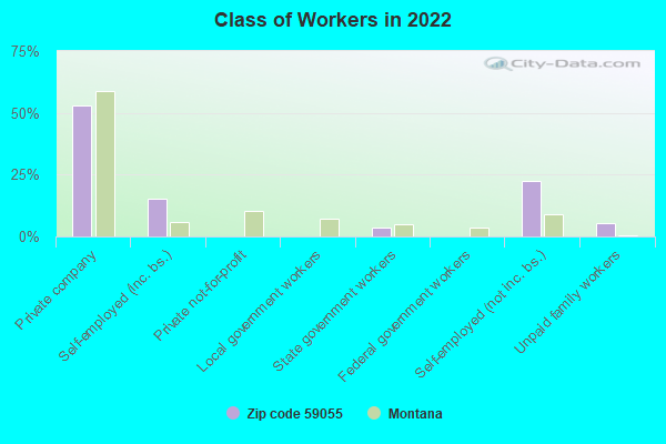 Class of Workers in 2022