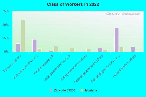 Class of Workers in 2022