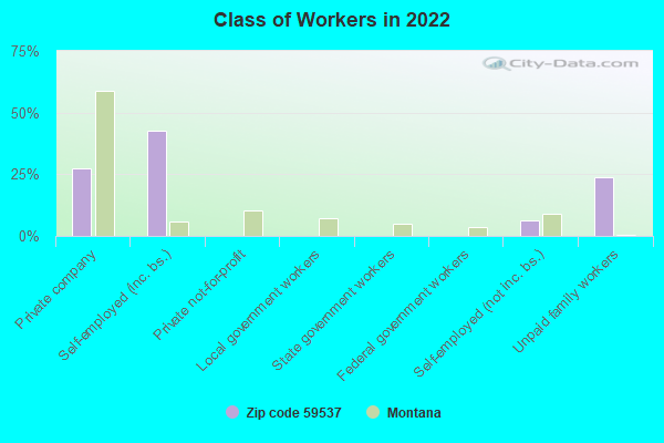 Class of Workers in 2022