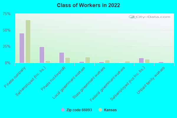 Class of Workers in 2022