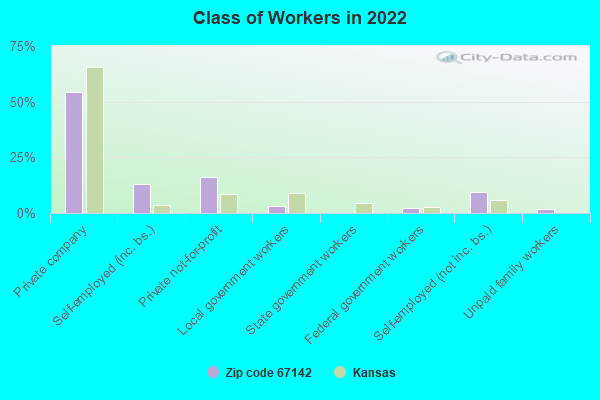 Class of Workers in 2022