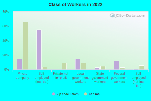 Class of Workers in 2022