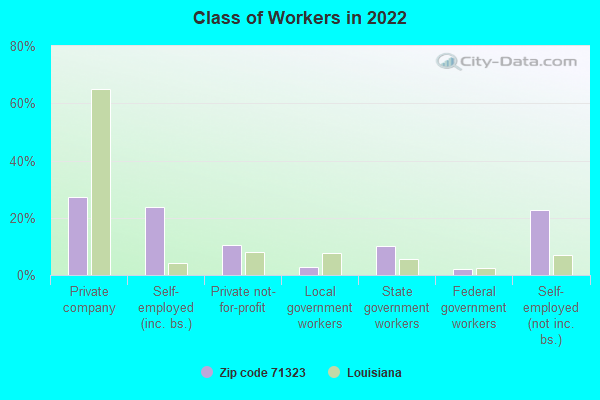 Class of Workers in 2022