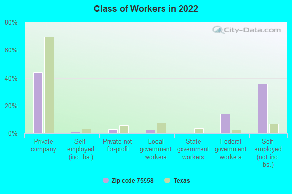 Class of Workers in 2022