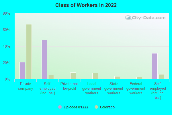 Class of Workers in 2022