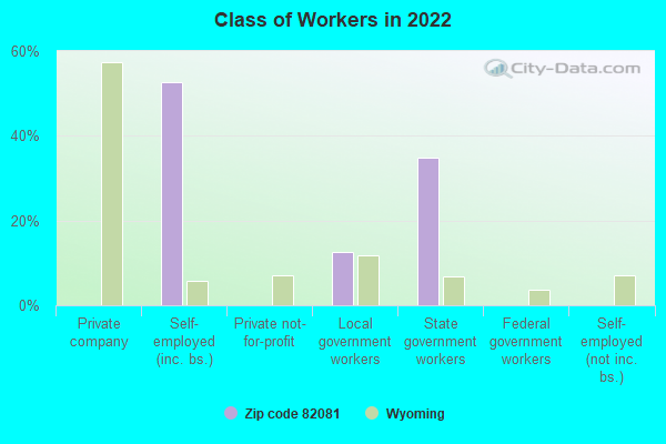 Class of Workers in 2022