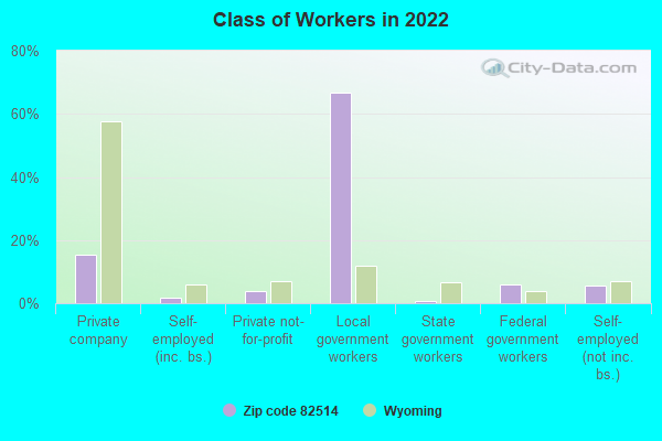 Class of Workers in 2022