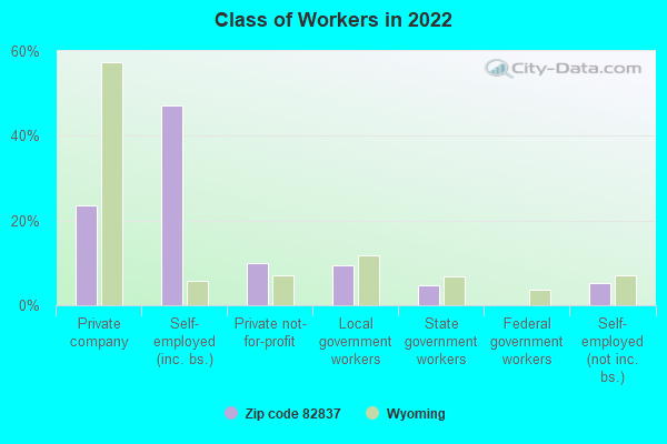 Class of Workers in 2022