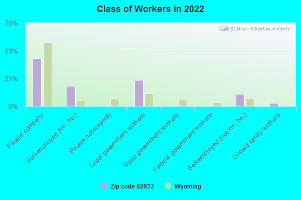 Class of Workers in 2022