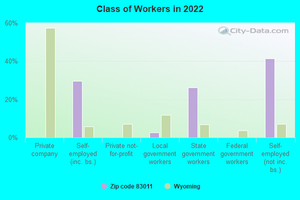 Class of Workers in 2022