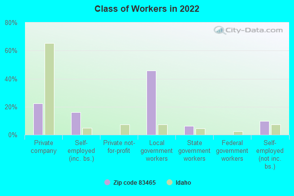 Class of Workers in 2022