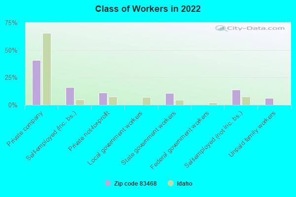 Class of Workers in 2022