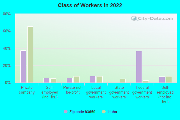 Class of Workers in 2022