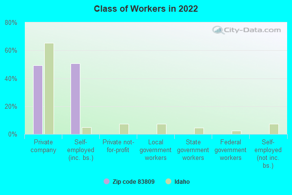 Class of Workers in 2022