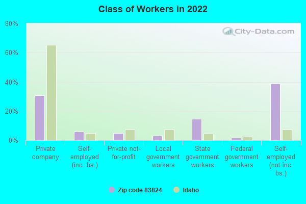 Class of Workers in 2022