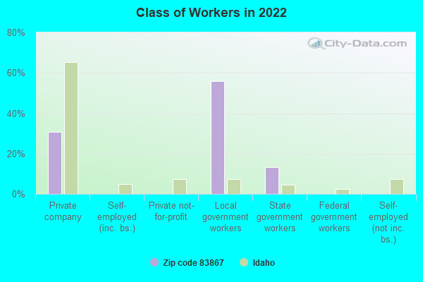 Class of Workers in 2022