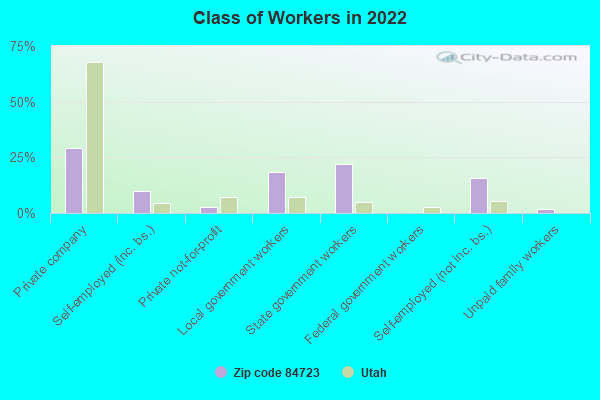 Class of Workers in 2022