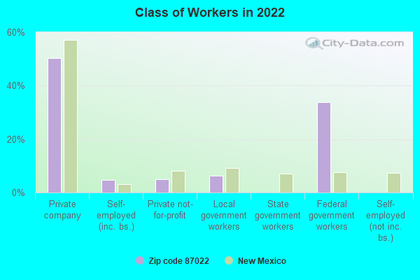 Class of Workers in 2022