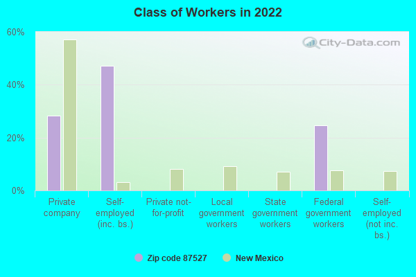 Class of Workers in 2022