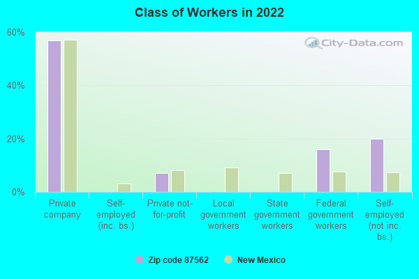 Class of Workers in 2022