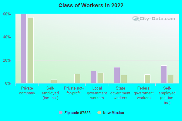 Class of Workers in 2022