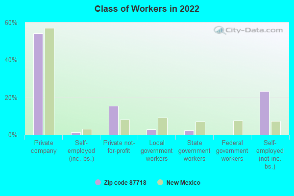 Class of Workers in 2022